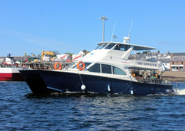 Shearwater Cruises Ullapool